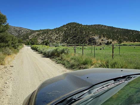 Cherry Creek Road