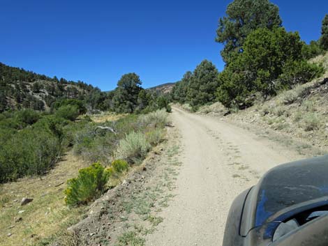 Cherry Creek Road