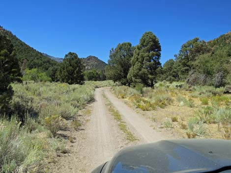 Cherry Creek Road