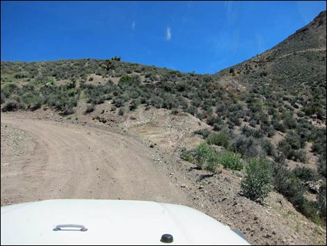 Curtis Canyon Road