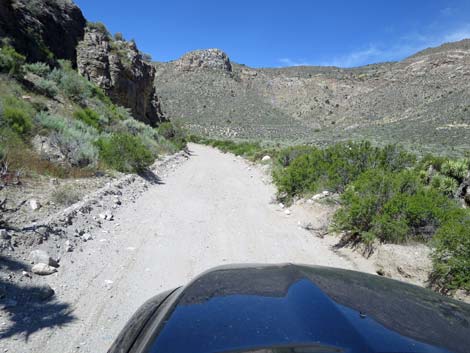 Curtis Canyon Road