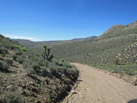 Curtis Canyon Road