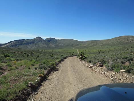 Curtis Canyon Road