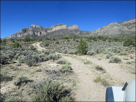 Leviathan Cave Road