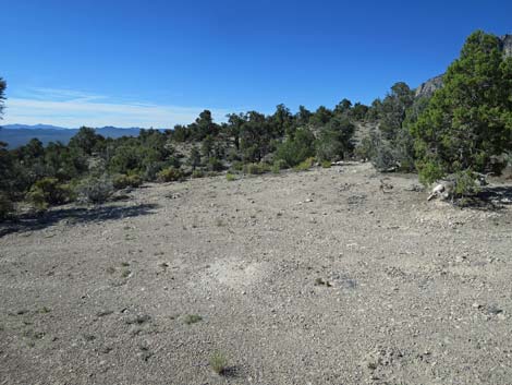 Leviathan Cave Road