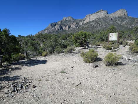 Leviathan Cave Road