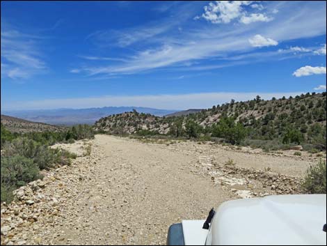 Logan Canyon Road