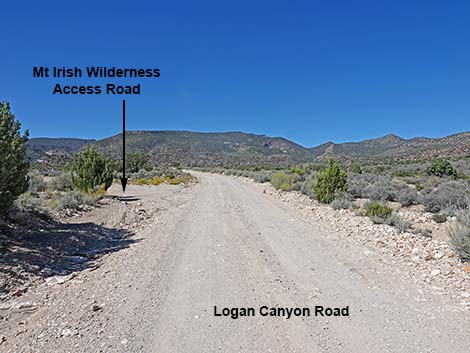 Logan Canyon Road