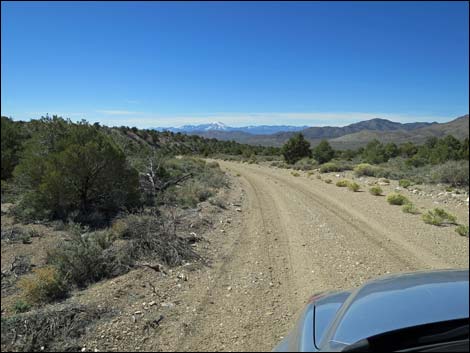 Logan Canyon Road