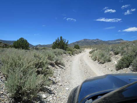 Logan Canyon Road