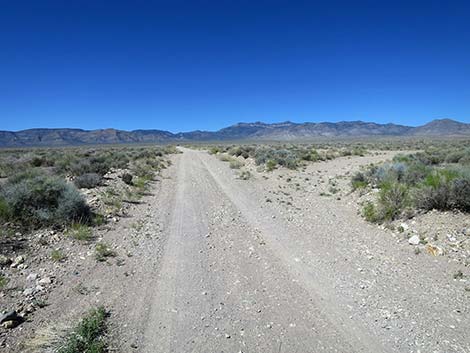 Logan Canyon Road