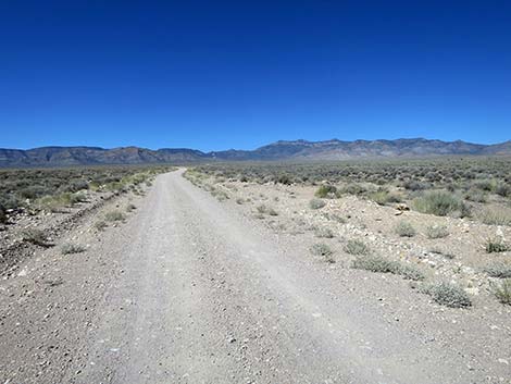 Logan Canyon Road