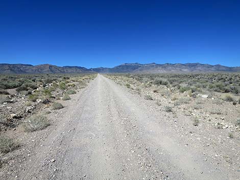 Logan Canyon Road