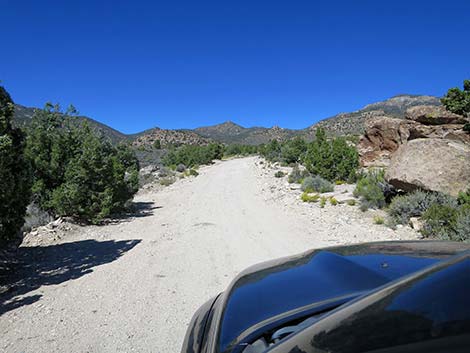 Logan Canyon Road