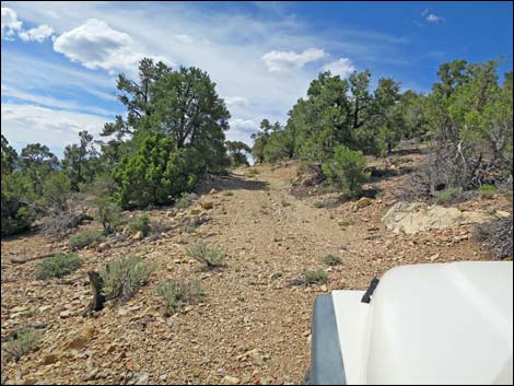 Rosario Mine Road