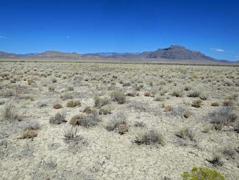 Timber Pass Road