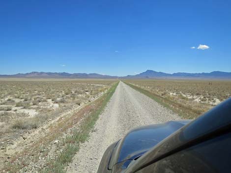 Timber Pass Road