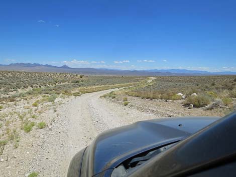 Timber Pass Road