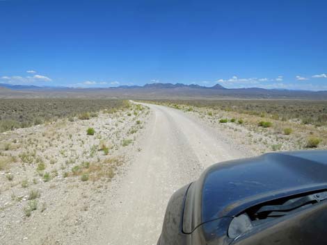 Timber Pass Road