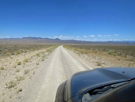 Timber Pass Road