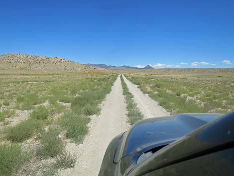 Timber Pass Road