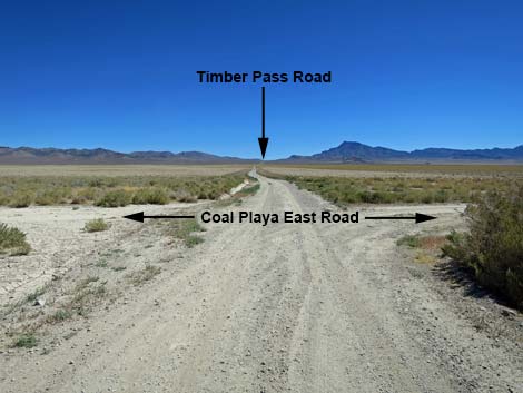 Timber Pass Road