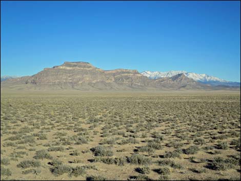 Timber Mountain Pass Road