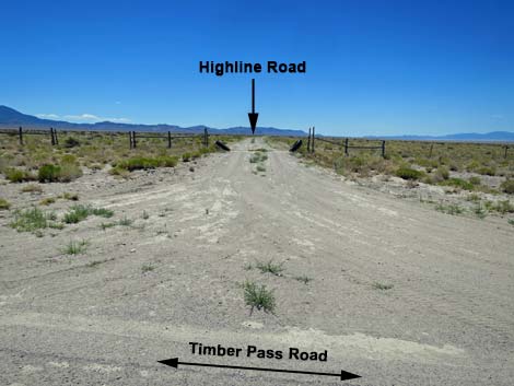 Timber Pass Road