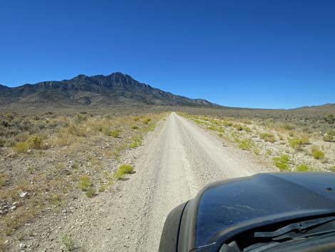 Timber Pass Road