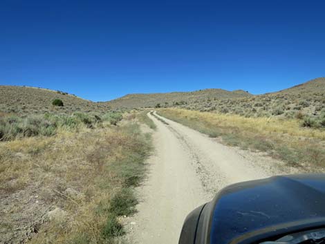 Timber Pass Road