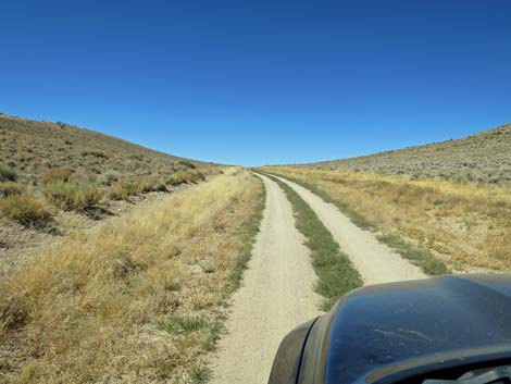 Timber Pass Road