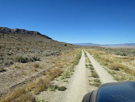 Timber Pass Road