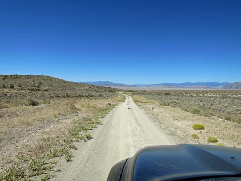 Timber Pass Road