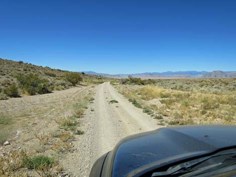 Timber Pass Road