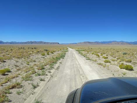 Timber Pass Road