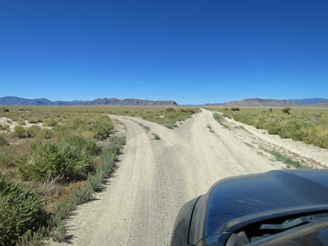 Timber Pass Road