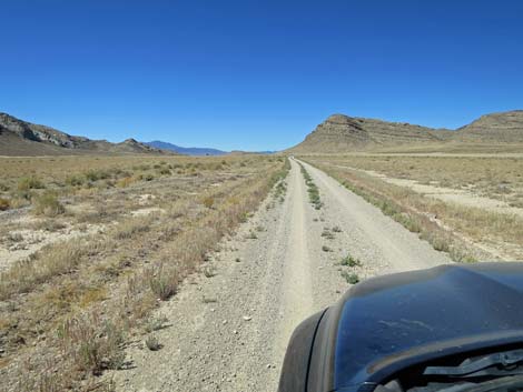 Timber Pass Road