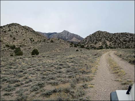 Whipple Cave Access Road