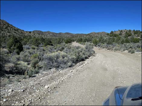 Wild Horse Valley Road