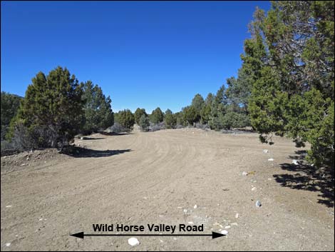 Wild Horse Valley Road