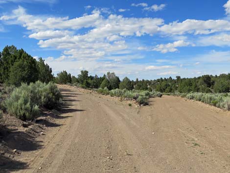 Wild Horse Valley Road