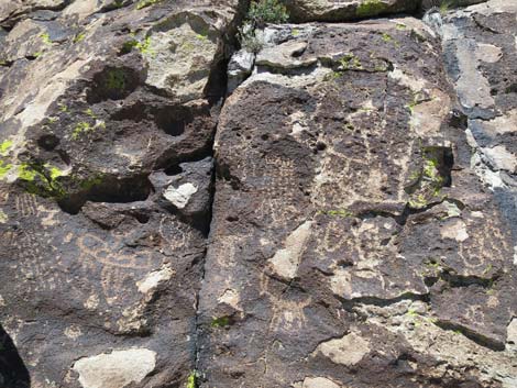 Shooting Gallery Rock Art Site