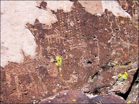 Shooting Gallery Rock Art Site