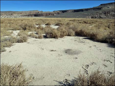 Amphitheater Site