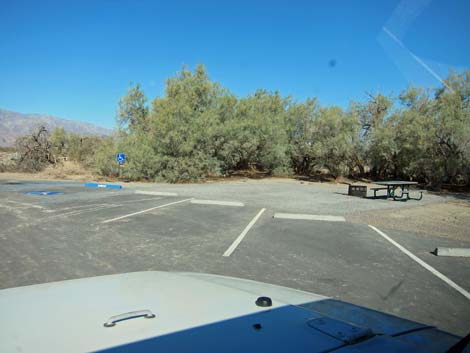 Furnace Creek Campground