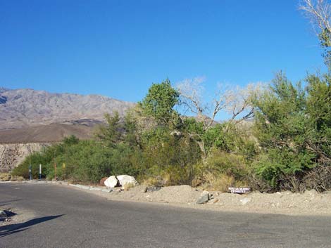 Mesquite Spring Campground