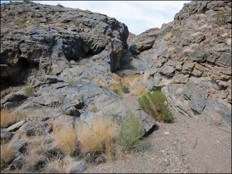 Cairn Canyon