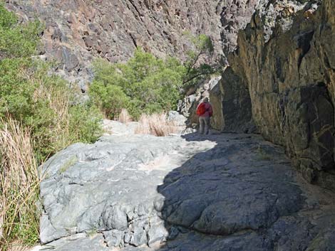 Darwin Falls Trail