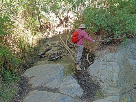 Darwin Falls Trail