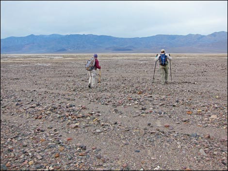 Harmony Salt Flats